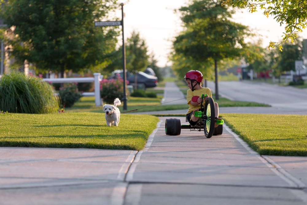 ensuring Sidewalk Safety Around Your Home