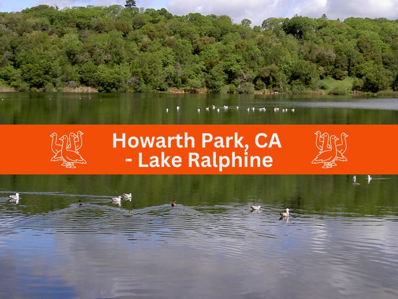 Howarth Park, CA - Lake Ralphine